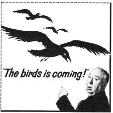 Image result for the birds movie